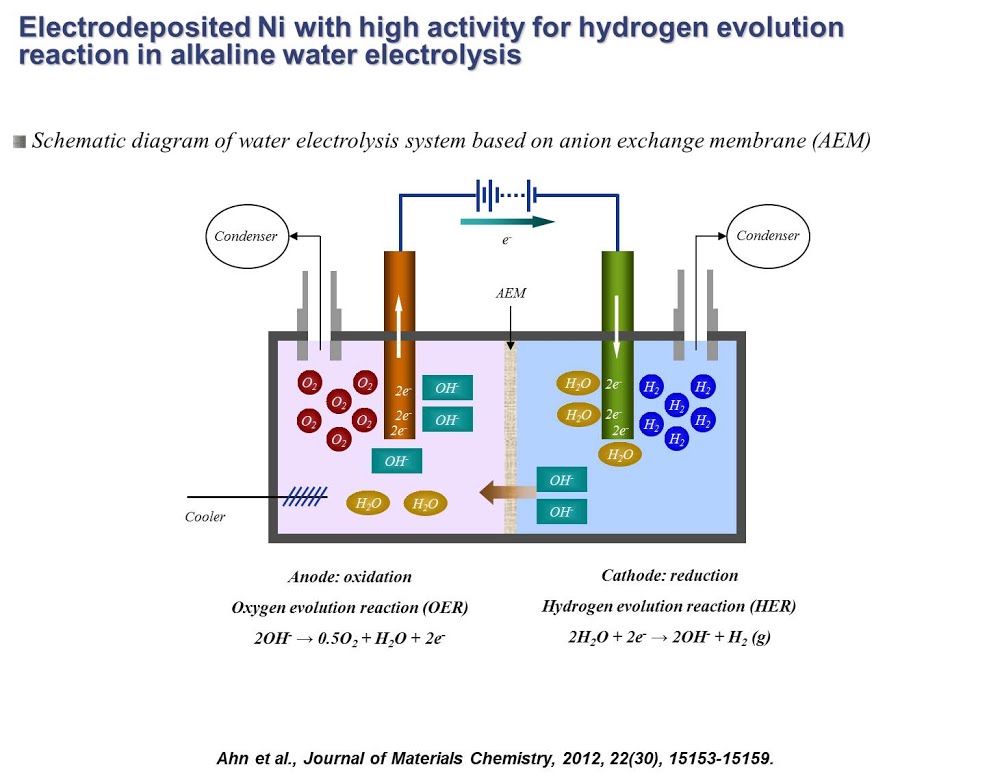 Electrocatalysts for Water Electrolysis and CO2 Reduction
